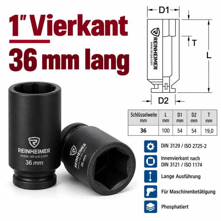 Kraftstecknuss 1*36L