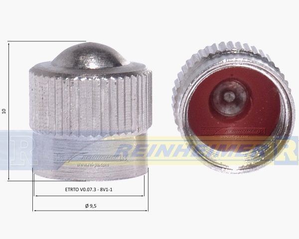 F-Cap-gasket/VE100