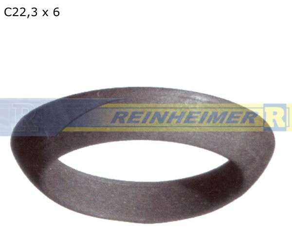 ZT-Ring C22,3*6-357